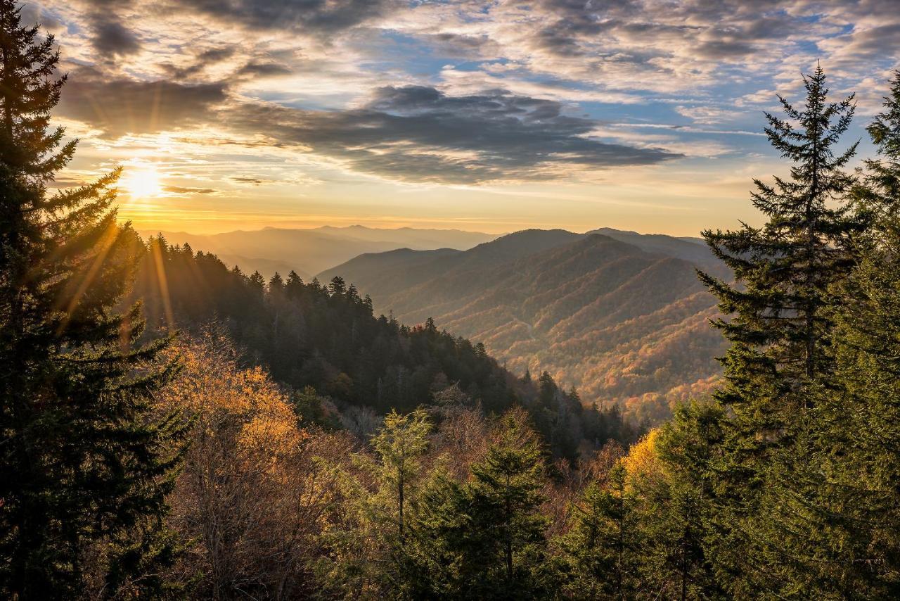 Star Gazing Whispering Pines 644 Leilighet Pigeon Forge Eksteriør bilde